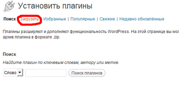 SEO на Wordpress